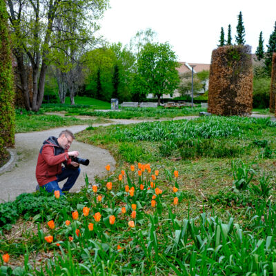 Vårblomster