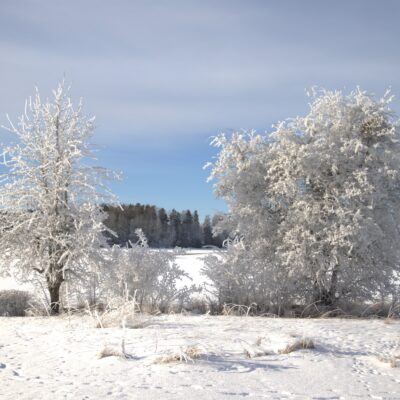 Kontrast, Kyla, Ljus och skugga